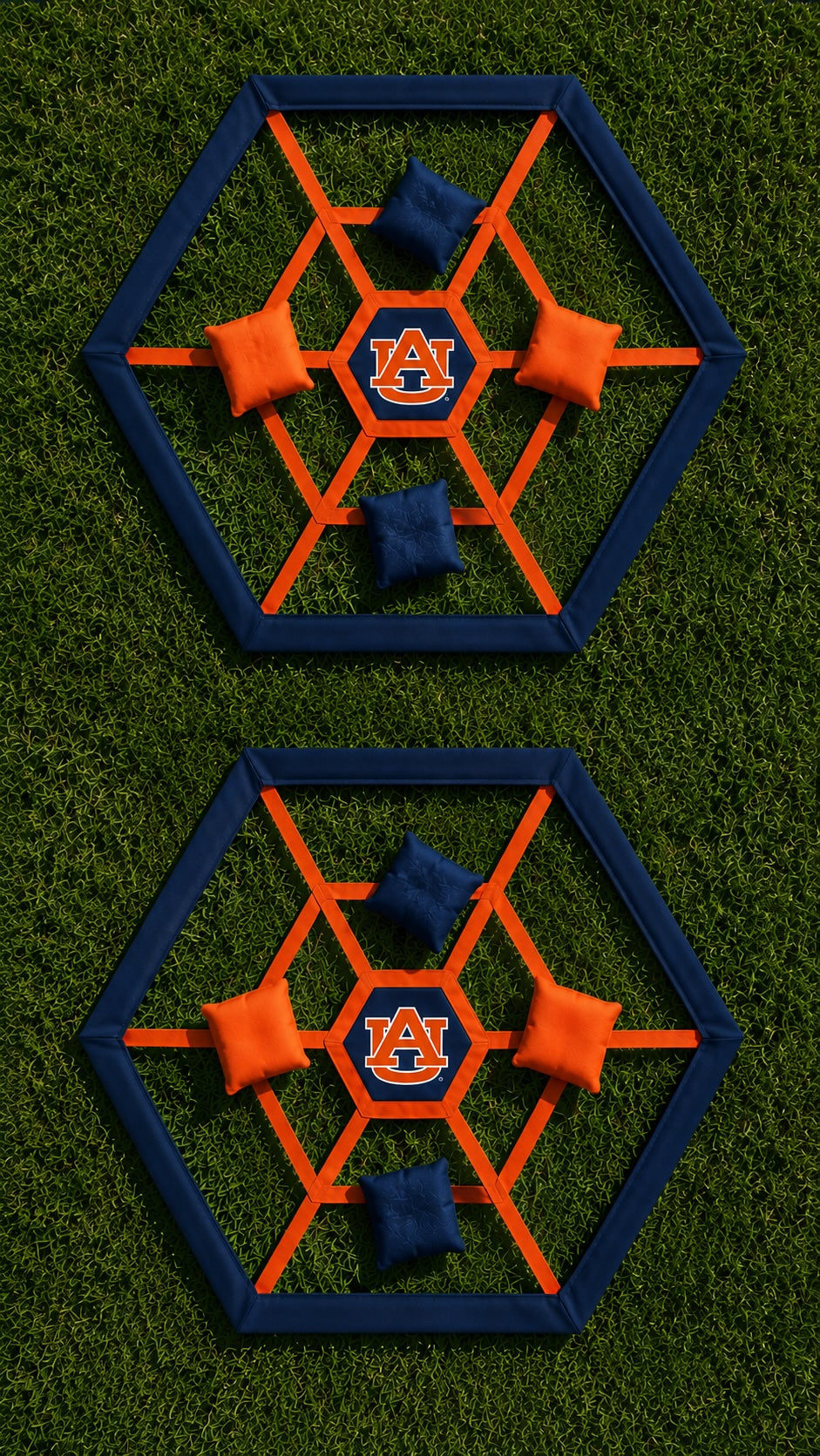 Auburn Webbi